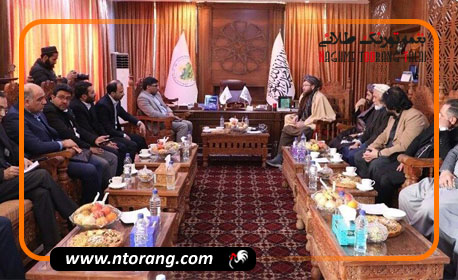 سرمایه گذاری ایران در صنعت کشاورزی و دامداری افغانستان